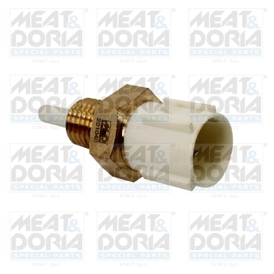 Sensor, intake air temperature
